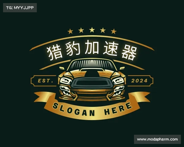 知道猎豹加速器